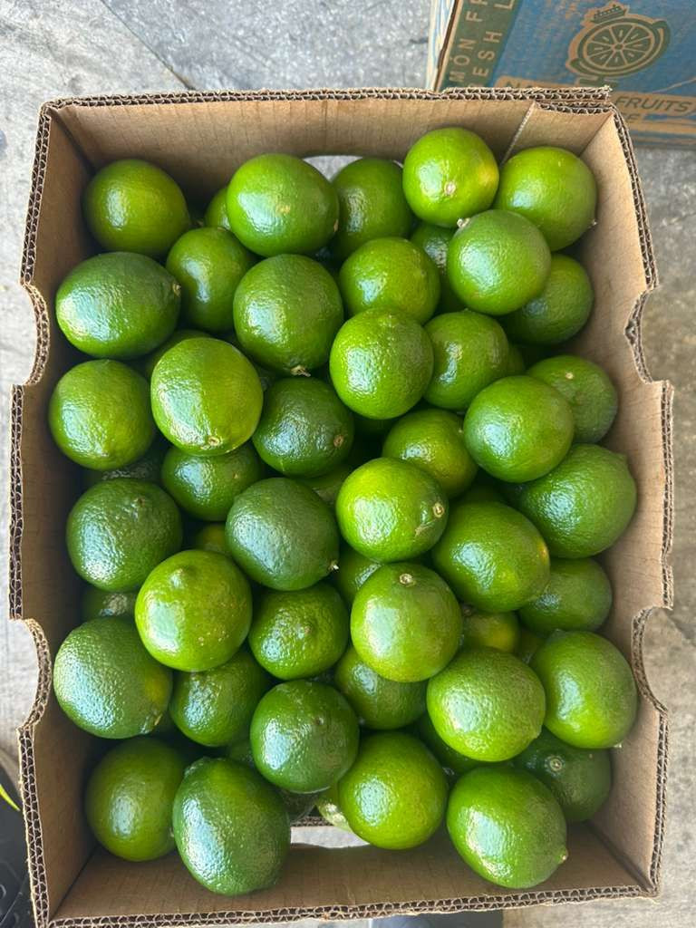 Fresh Tahiti Lime – Citrus Latifolia – Premium Export Quality
