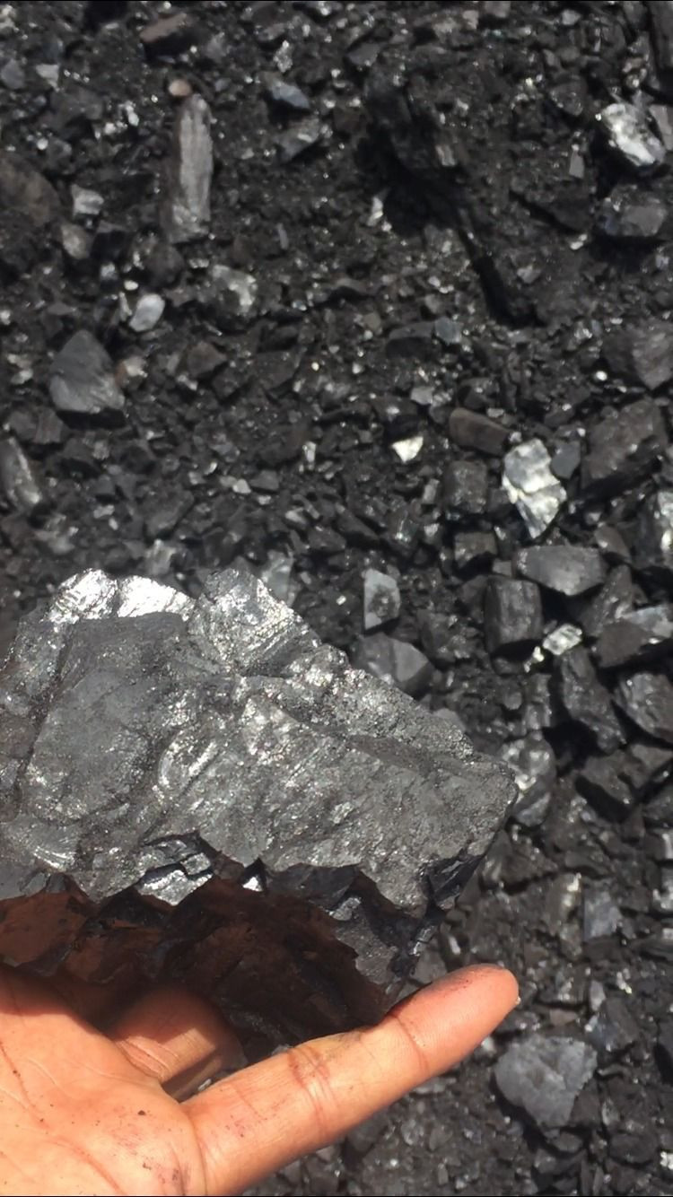Coal