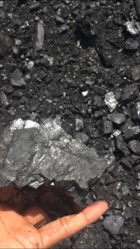 Coal