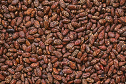 Cocoa Beans